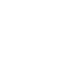 Audio Icon