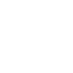 Speed Icon