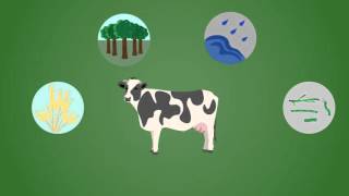 食肉生産と環境破壊