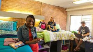アメリカ学生寮では男女が同室に住む？