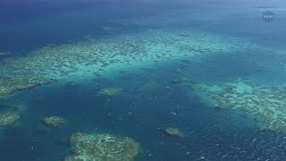 サンゴ礁調査の新しい展望