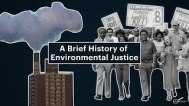 アメリカの環境保護活動の歴史